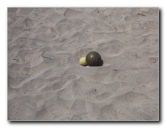 beach-bocce-ball-066 - Click to enlarge