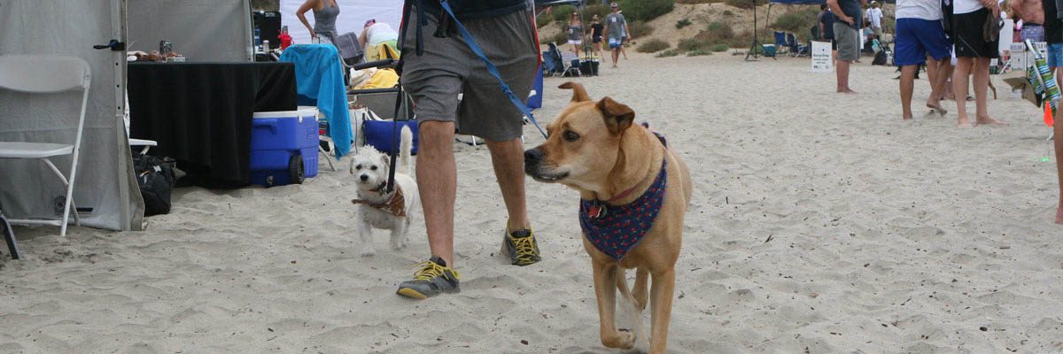 Beach Bocce Ball Tournament